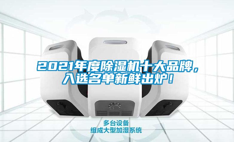 2021年度除濕機十大品牌，入選名單新鮮出爐！