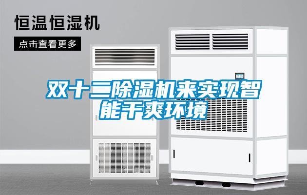 雙十二除濕機來(lái)實(shí)現智能干爽環(huán)境