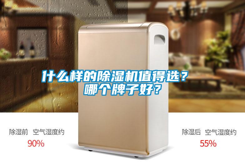 什么樣的除濕機值得選？ 哪個(gè)牌子好？