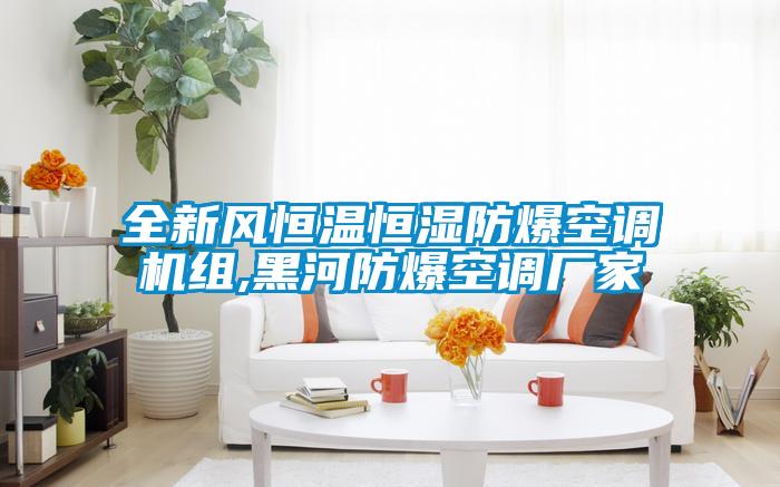 全新風(fēng)恒溫恒濕防爆空調機組,黑河防爆空調廠(chǎng)家