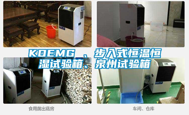 KOEMG 、步入式恒溫恒濕試驗箱、泉州試驗箱