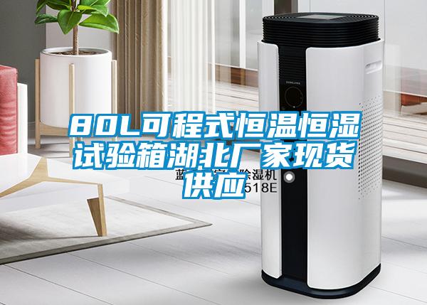 80L可程式恒溫恒濕試驗箱湖北廠(chǎng)家現貨供應