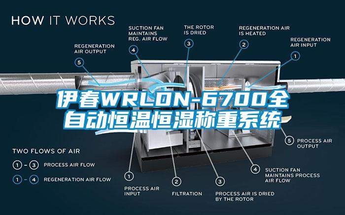 伊春WRLDN-6700全自動(dòng)恒溫恒濕稱(chēng)重系統