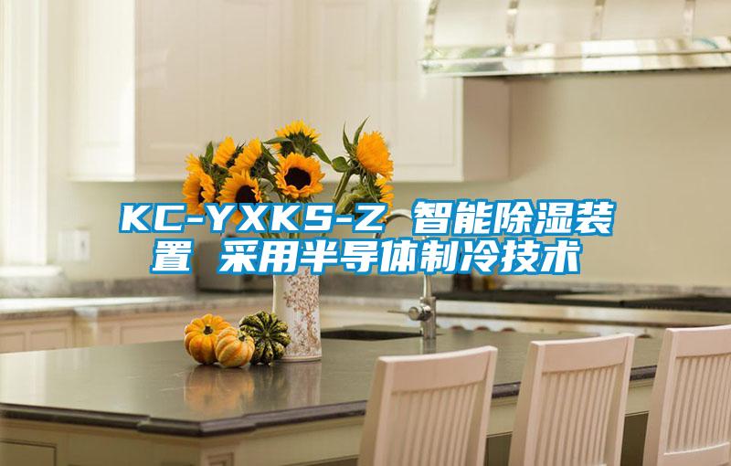 KC-YXKS-Z 智能除濕裝置 采用半導體制冷技術(shù)