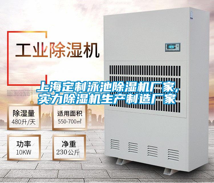 上海定制泳池除濕機廠(chǎng)家,實(shí)力除濕機生產(chǎn)制造廠(chǎng)家