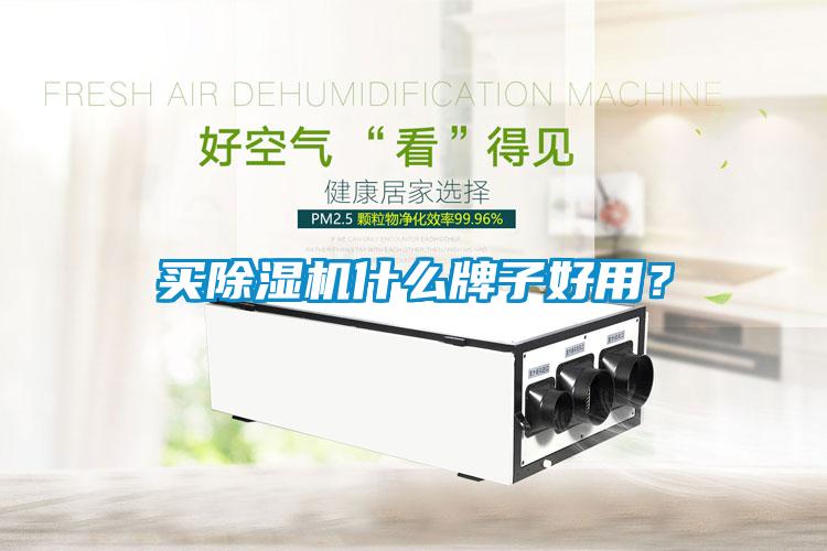 買(mǎi)除濕機什么牌子好用？