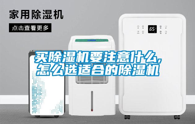 買(mǎi)除濕機要注意什么,怎么選適合的除濕機