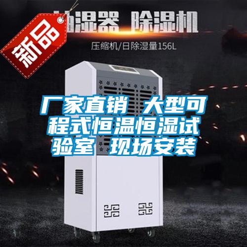 廠(chǎng)家直銷(xiāo) 大型可程式恒溫恒濕試驗室 現場(chǎng)安裝