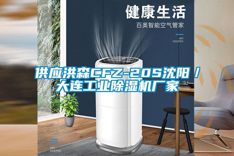 供應洪森CFZ-20S沈陽(yáng)／大連工業(yè)除濕機廠(chǎng)家
