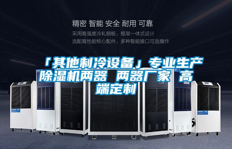 「其他制冷設備」專(zhuān)業(yè)生產(chǎn)除濕機兩器 兩器廠(chǎng)家 高端定制