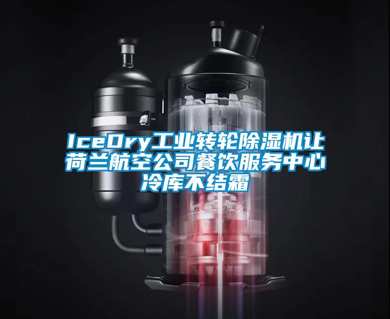 IceDry工業(yè)轉輪除濕機讓荷蘭航空公司餐飲服務(wù)中心冷庫不結霜
