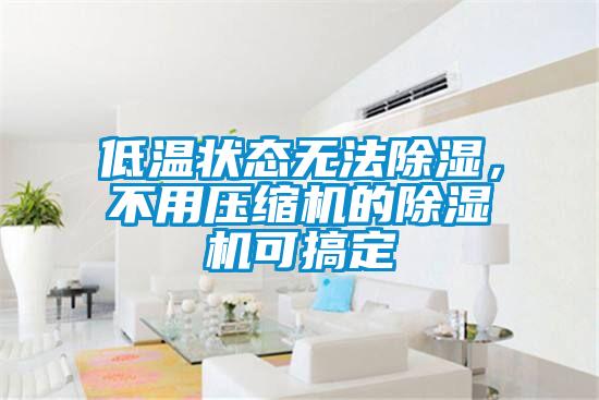 低溫狀態(tài)無(wú)法除濕，不用壓縮機的除濕機可搞定