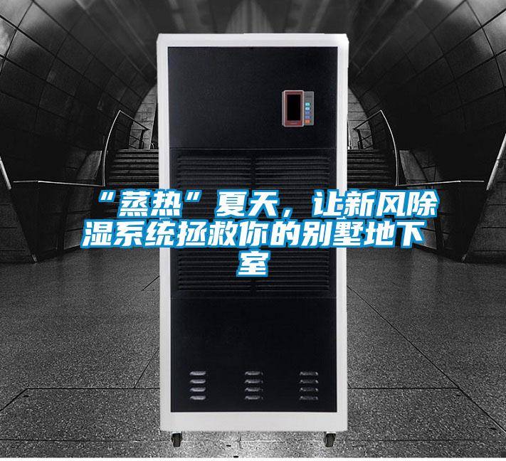 “蒸熱”夏天，讓新風(fēng)除濕系統拯救你的別墅地下室