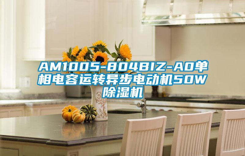 AM1005-804BIZ-A0單相電容運轉異步電動(dòng)機50W除濕機