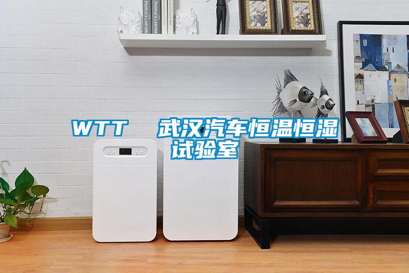 WTT  武漢汽車(chē)恒溫恒濕試驗室
