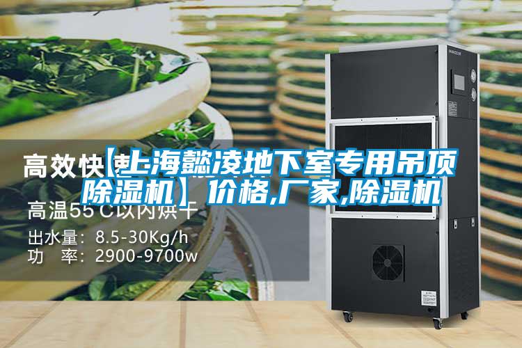 【上海懿凌地下室專(zhuān)用吊頂除濕機】?jì)r(jià)格,廠(chǎng)家,除濕機