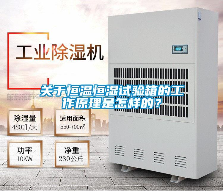 關(guān)于恒溫恒濕試驗箱的工作原理是怎樣的？