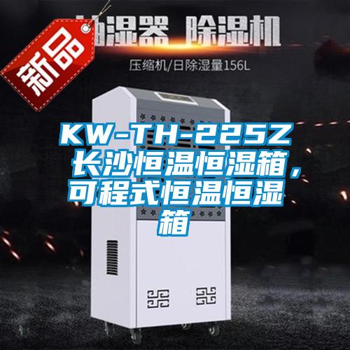 KW-TH-225Z 長(cháng)沙恒溫恒濕箱，可程式恒溫恒濕箱