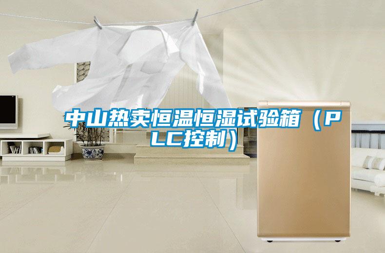 中山熱賣(mài)恒溫恒濕試驗箱（PLC控制）