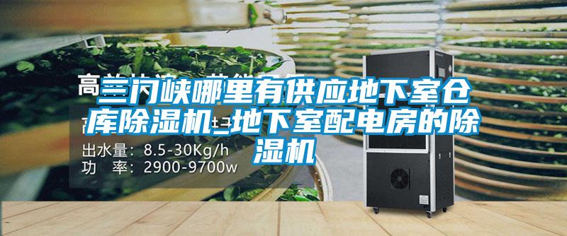三門(mén)峽哪里有供應地下室倉庫除濕機_地下室配電房的除濕機