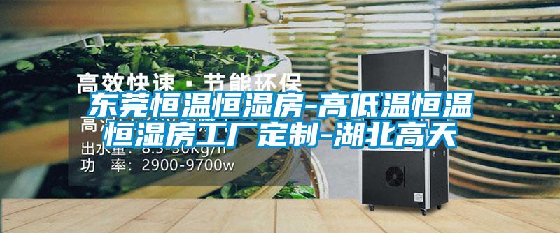 東莞恒溫恒濕房-高低溫恒溫恒濕房工廠(chǎng)定制-湖北高天