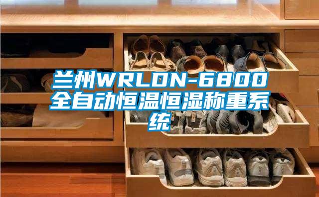 蘭州WRLDN-6800全自動(dòng)恒溫恒濕稱(chēng)重系統