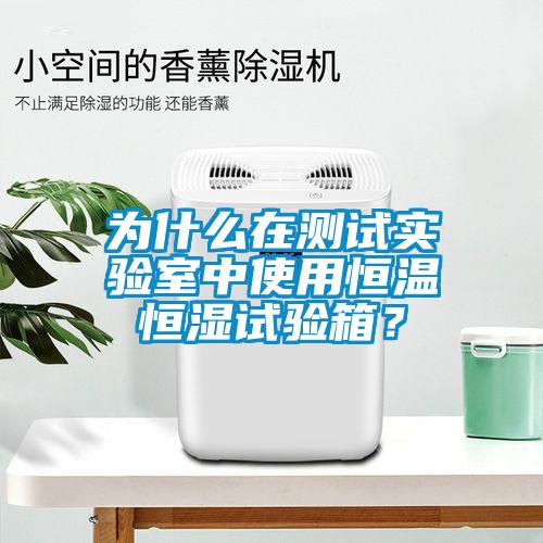 為什么在測試實(shí)驗室中使用恒溫恒濕試驗箱？