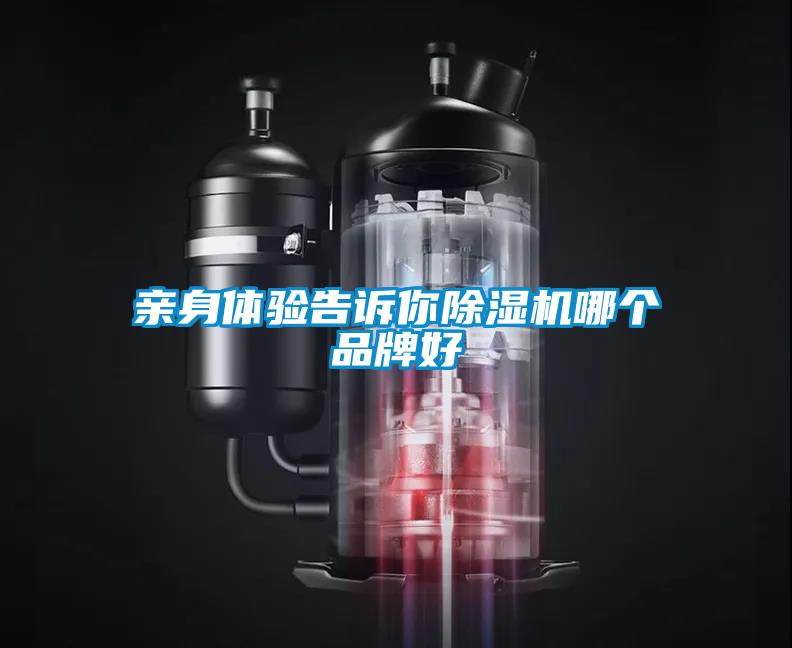 親身體驗告訴你除濕機哪個(gè)品牌好