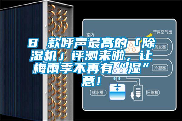 8 款呼聲最高的「除濕機」評測來(lái)啦，讓梅雨季不再有“濕”意！