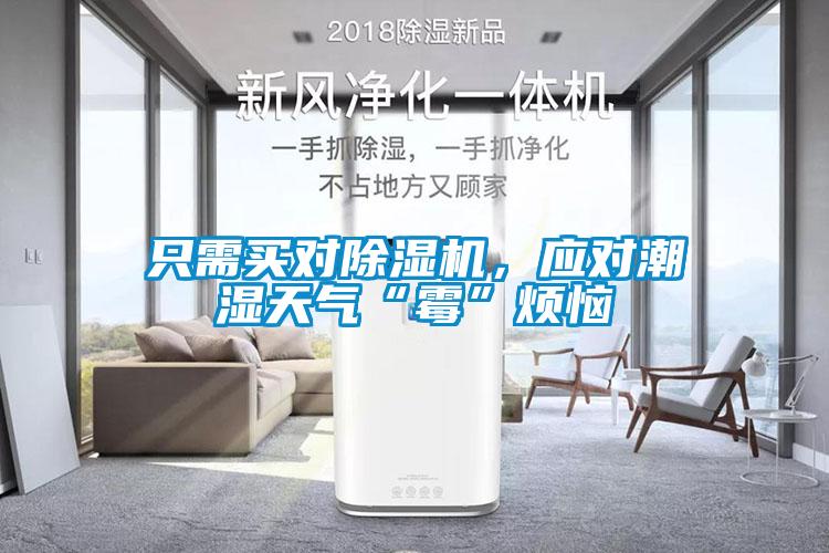 只需買(mǎi)對除濕機，應對潮濕天氣“霉”煩惱