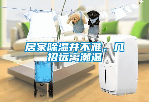 居家除濕并不難，幾招遠離潮濕