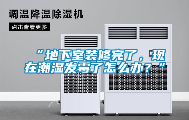 “地下室裝修完了，現在潮濕發(fā)霉了怎么辦？”