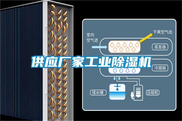 供應廠(chǎng)家工業(yè)除濕機