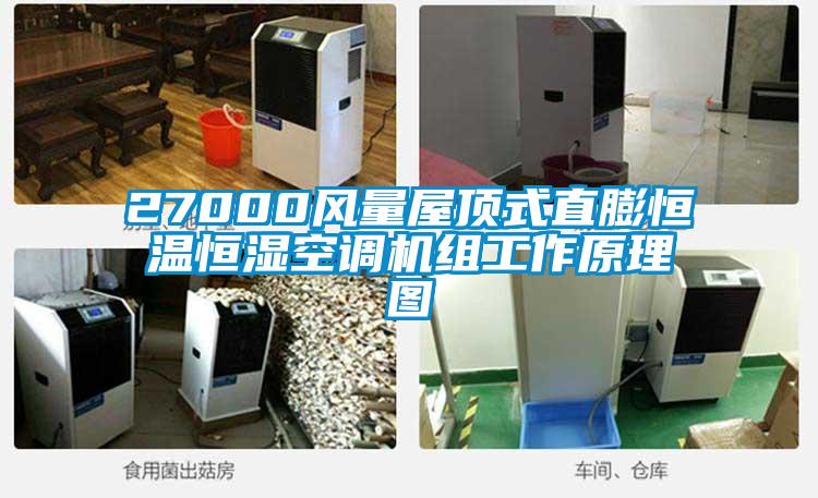 27000風(fēng)量屋頂式直膨恒溫恒濕空調機組工作原理圖