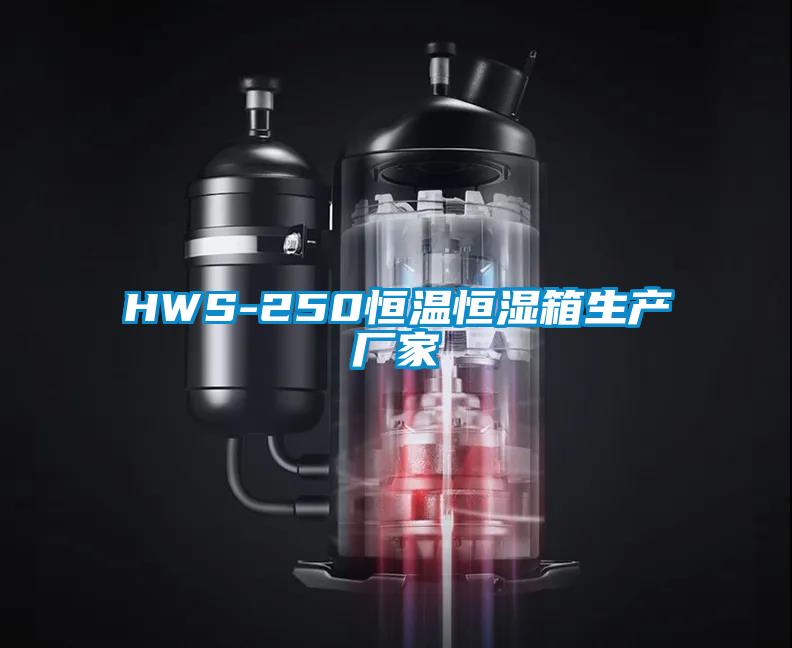 HWS-250恒溫恒濕箱生產(chǎn)廠(chǎng)家