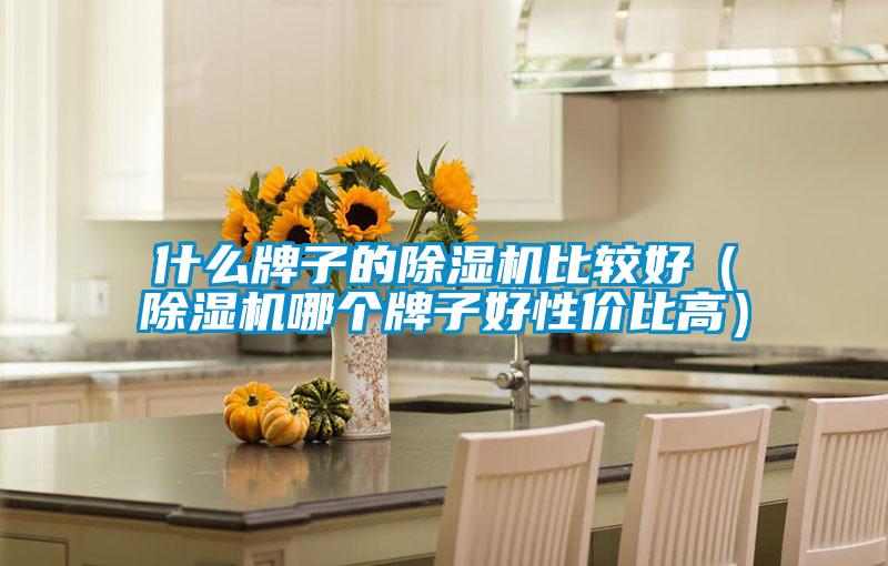什么牌子的除濕機比較好（除濕機哪個(gè)牌子好性?xún)r(jià)比高）