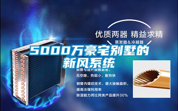 5000萬(wàn)豪宅別墅的新風(fēng)系統