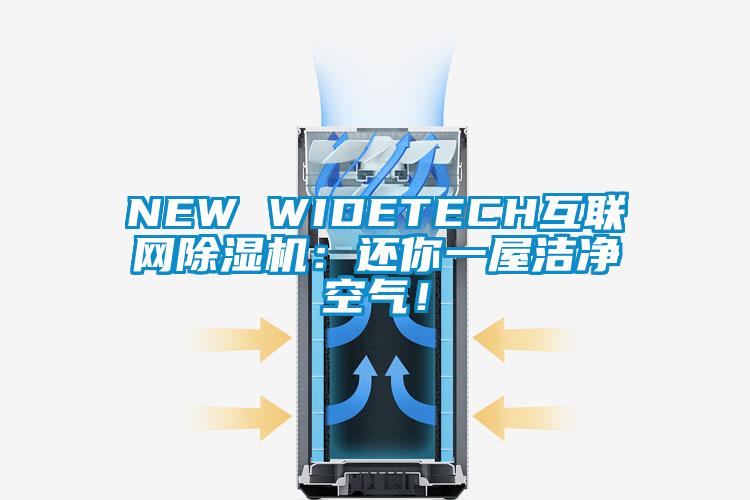 NEW WIDETECH互聯(lián)網(wǎng)除濕機：還你一屋潔凈空氣！
