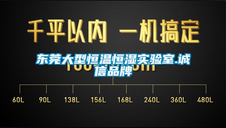 東莞大型恒溫恒濕實(shí)驗室.誠信品牌