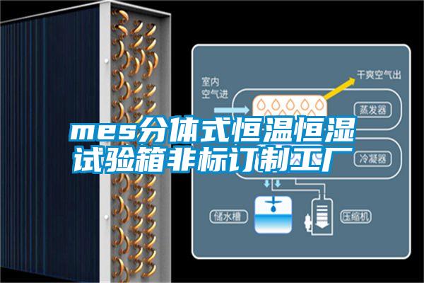 mes分體式恒溫恒濕試驗箱非標訂制工廠(chǎng)