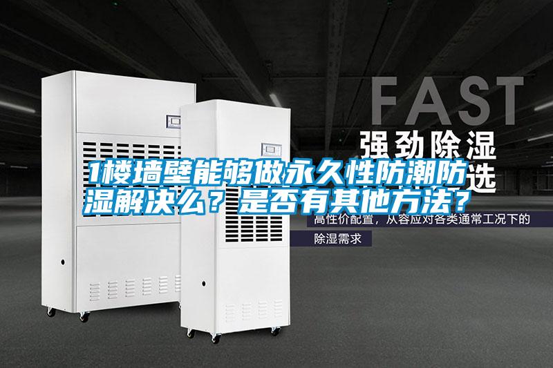 1樓墻壁能夠做永久性防潮防濕解決么？是否有其他方法？