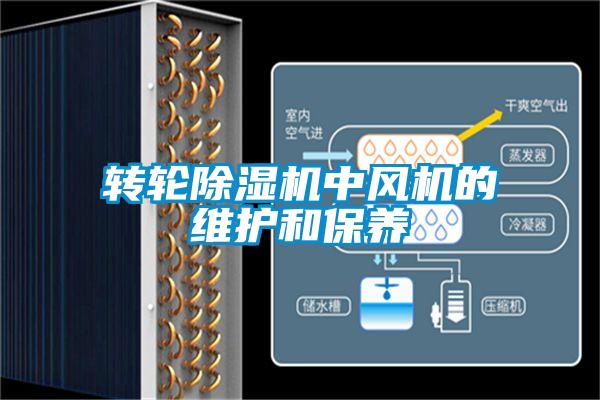 轉輪除濕機中風(fēng)機的維護和保養