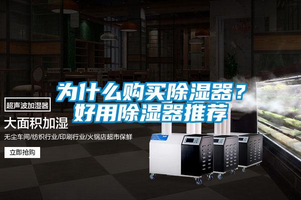 為什么購買(mǎi)除濕器？好用除濕器推薦