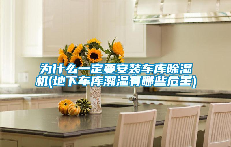為什么一定要安裝車(chē)庫除濕機(地下車(chē)庫潮濕有哪些危害)
