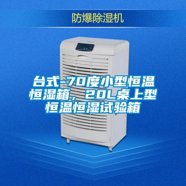 臺式-70度小型恒溫恒濕箱，20L桌上型恒溫恒濕試驗箱