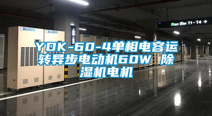 YDK-60-4單相電容運轉異步電動(dòng)機60W 除濕機電機
