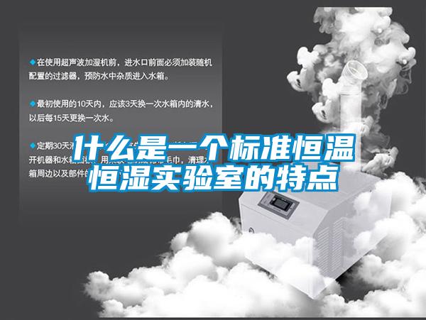 什么是一個(gè)標準恒溫恒濕實(shí)驗室的特點(diǎn)