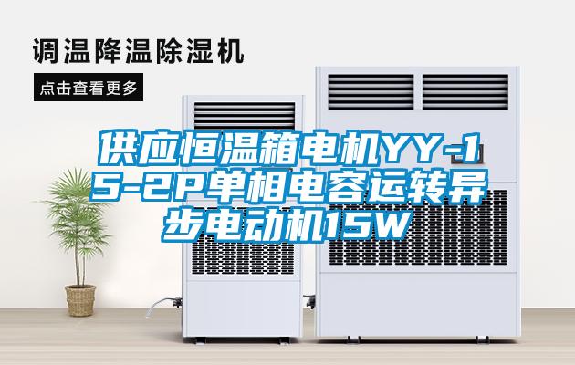 供應恒溫箱電機YY-15-2P單相電容運轉異步電動(dòng)機15W