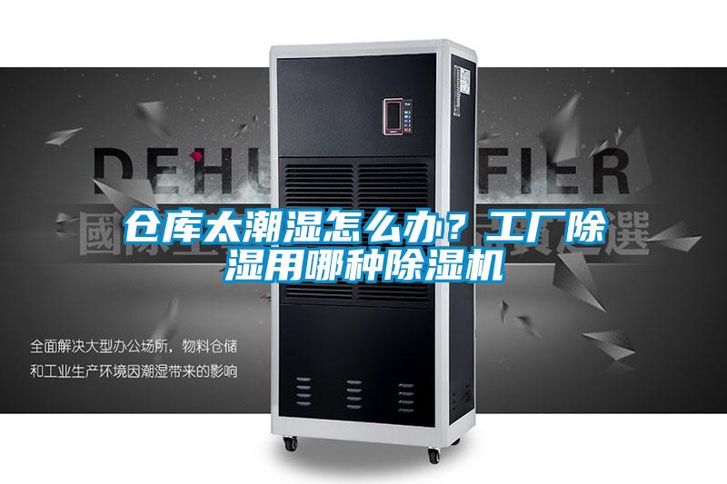 倉庫太潮濕怎么辦？工廠(chǎng)除濕用哪種除濕機