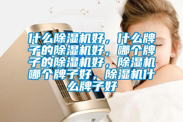 什么除濕機好，什么牌子的除濕機好，哪個(gè)牌子的除濕機好，除濕機哪個(gè)牌子好，除濕機什么牌子好